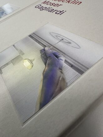 Reflexionen aus dem beständigen Leben  (Edition)