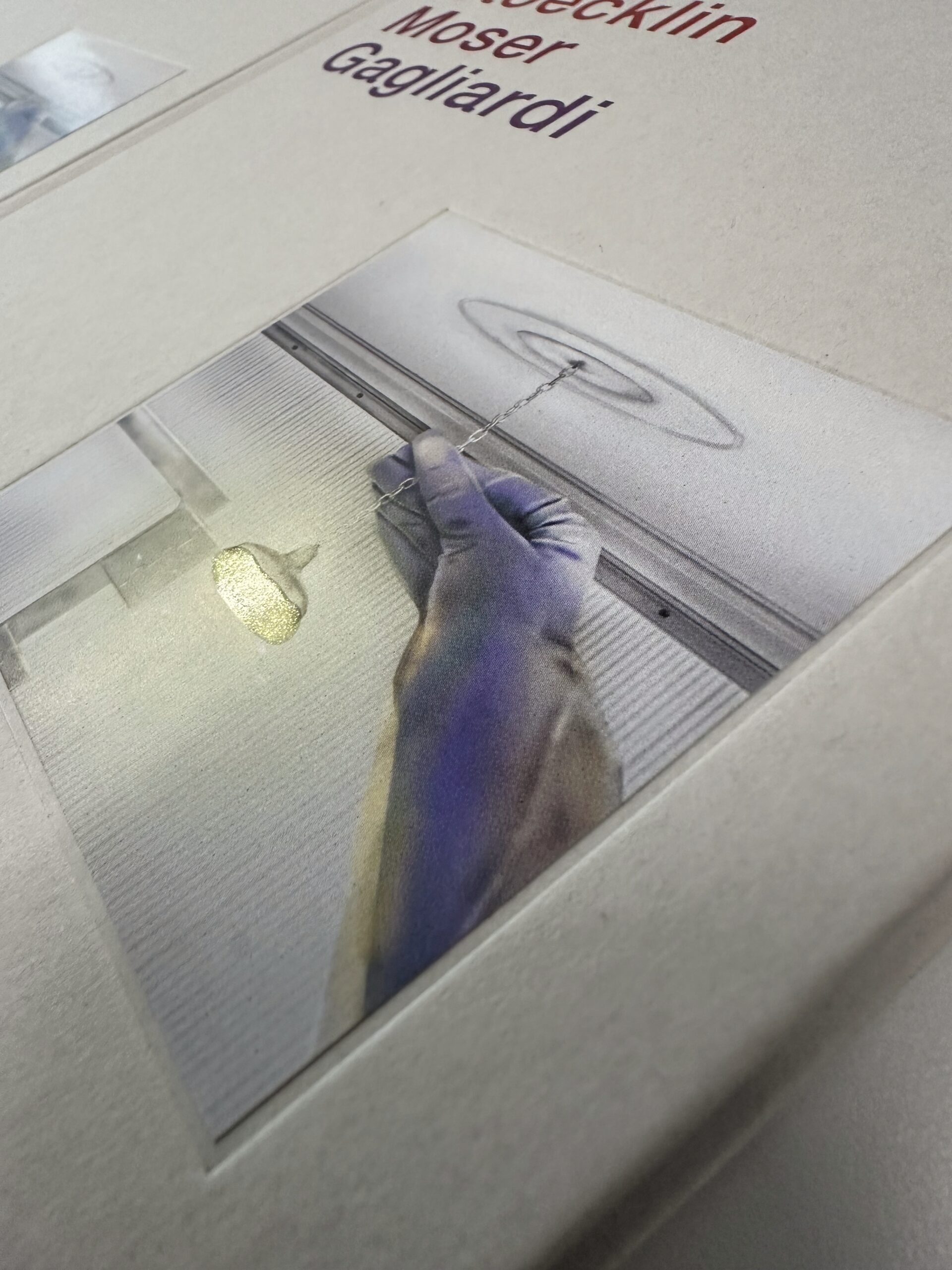 Reflexionen aus dem beständigen Leben  (Edition)